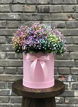 Цветочная композиция из Гипсофила и Розы в шляпной коробке #REPLACE_PRED# Дружной Горке