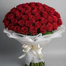 Букет 101 Красная роза Блэк Мэджик в Дружной Горке