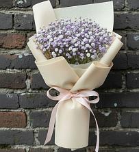 Букет цветов из:  Гипсофила в Дружной Горке