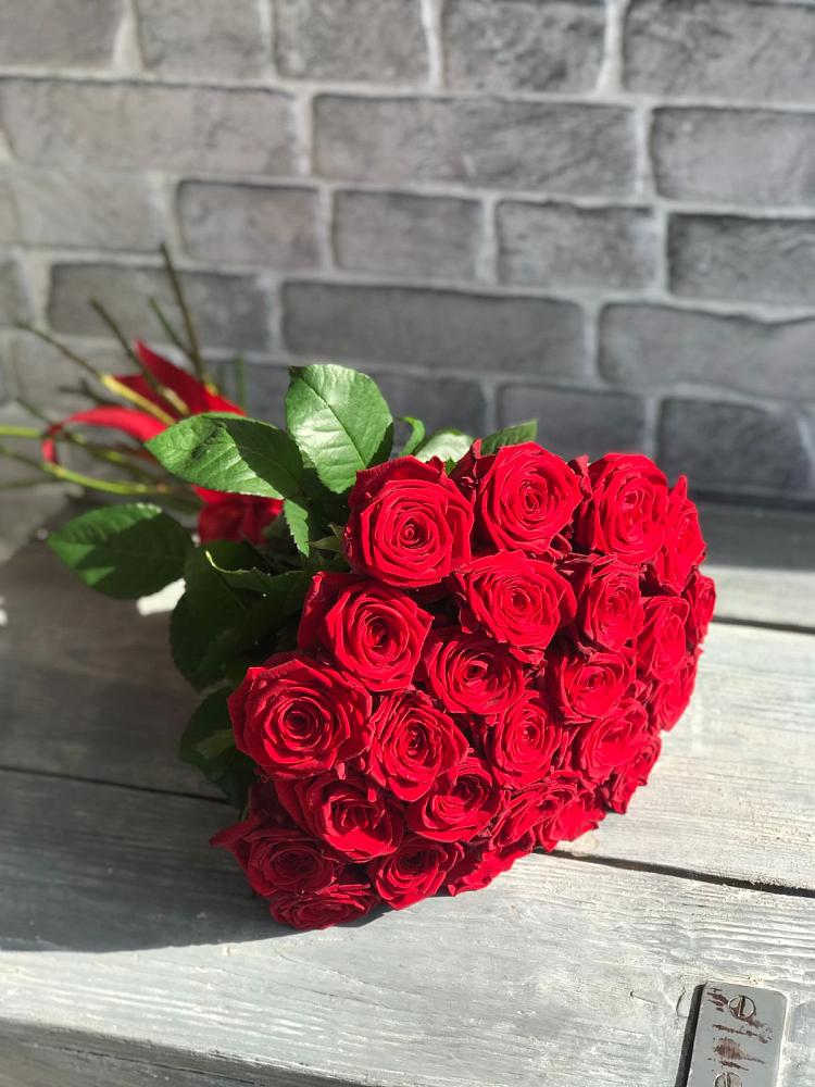 Букет Красные розы Фридом в Дружной Горке