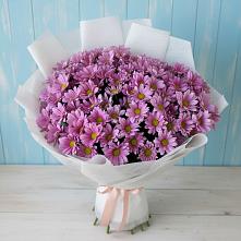 Букет цветов из:  Хризантемы #REPLACE_PRED# Дружной Горке