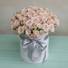 Цветочная композиция из Розы в шляпной коробке #REPLACE_PRED# Дружной Горке