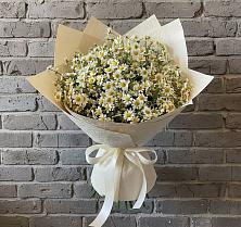 Букет цветов из:  Ромашки в Дружной Горке