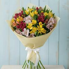 Букет цветов из:  Альстромерии в Дружной Горке