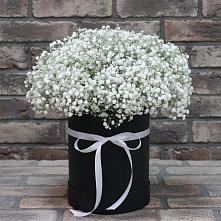Цветочная композиция из Гипсофила в шляпной коробке в Дружной Горке