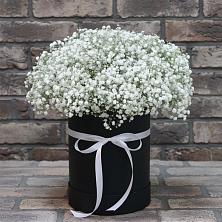 Цветочная композиция из Гипсофила в шляпной коробке в Дружной Горке
