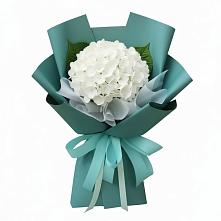 Букет цветов из:  Гортензия #REPLACE_PRED# Дружной Горке